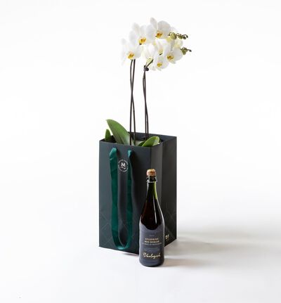 Hvit orkidé i gavepose med bobler